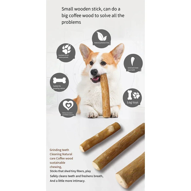 Brinquedos de mastigar para cães de madeira de café natural, bastão mastigável de longa duração